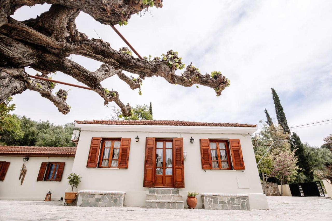 Kymanemi Zakynthos Cottage House Áno Yerakaríon Kültér fotó